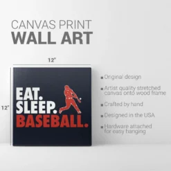 Baseball Canvas Wall Art - Eat Sleep Baseball -Sport Play Mode bs 03100 DETAILS
