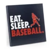 Baseball Canvas Wall Art - Eat Sleep Baseball